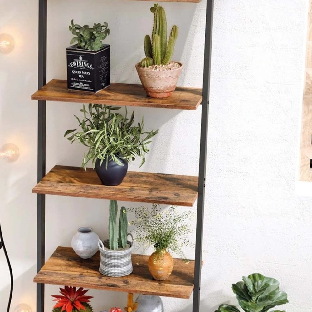 Ladder Display